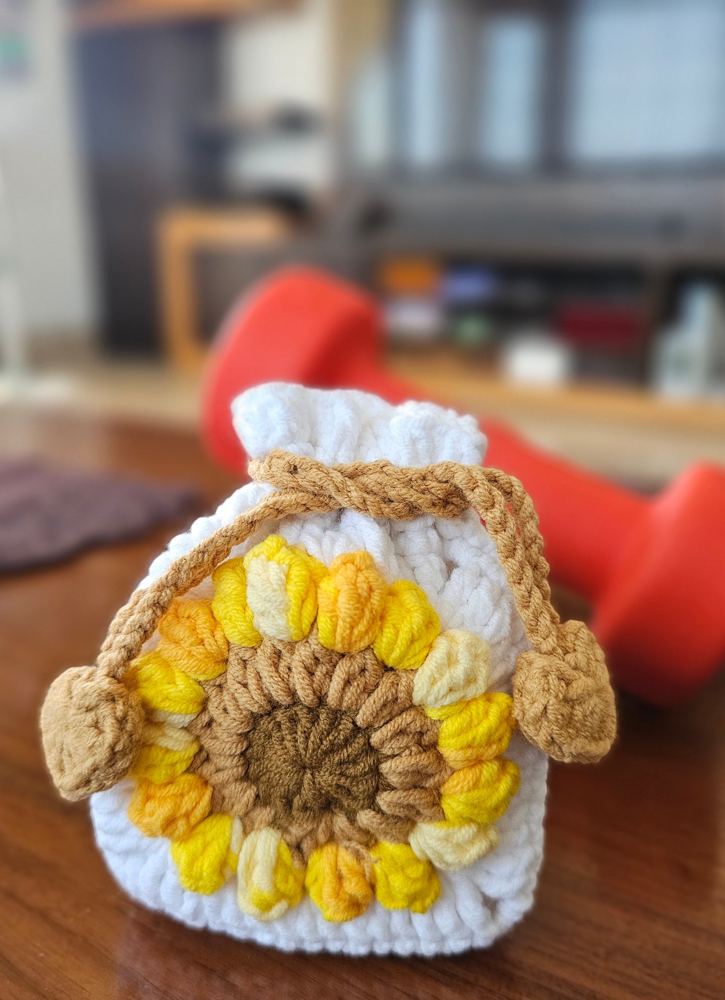 Earphones Pouch