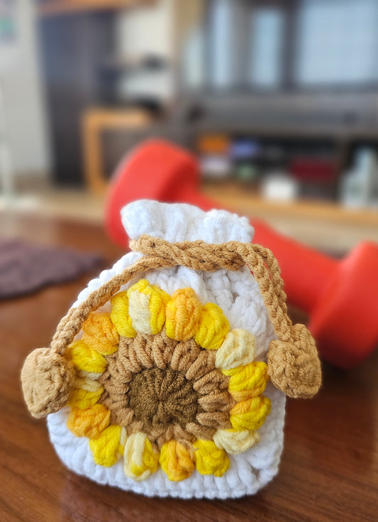 Earphones Pouch