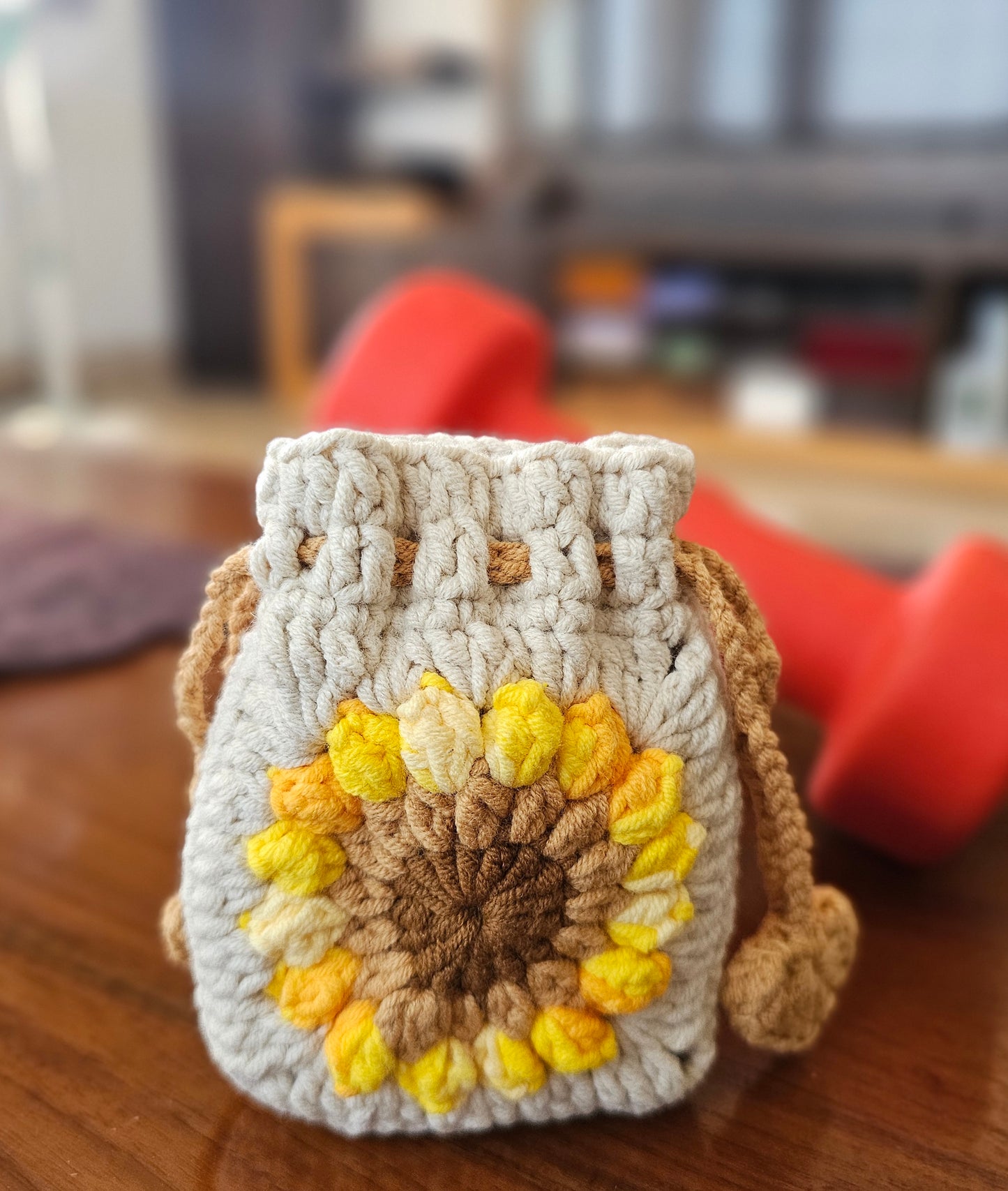 Earphones Pouch